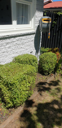 After... So much better