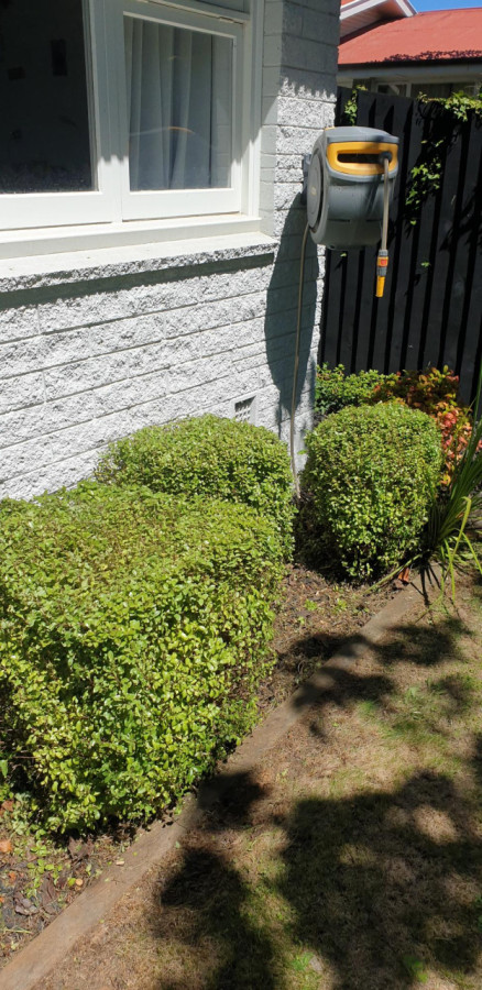 After... So much better