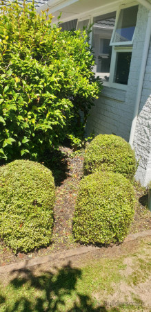 After... Love doing these