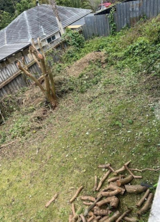 Before