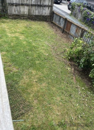 Before