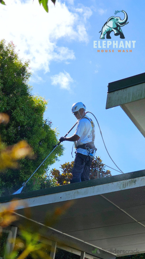 Roof Washing