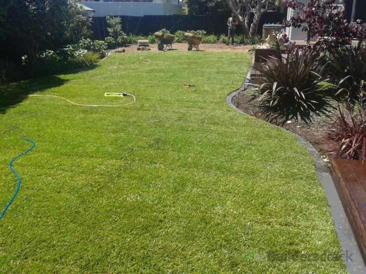 New Lawn
