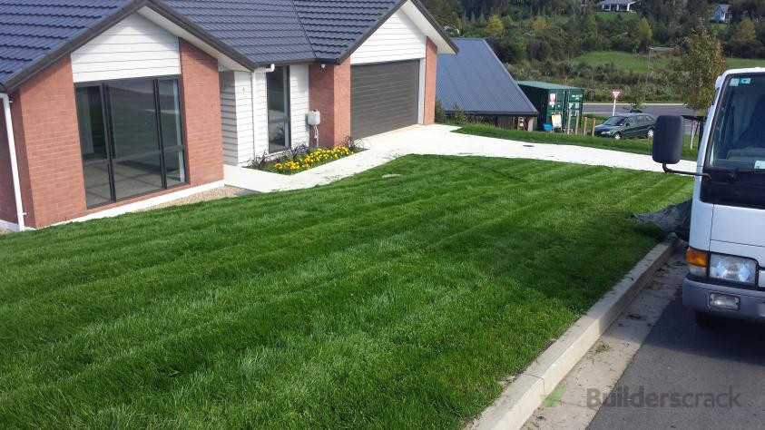 New lawn growing in well