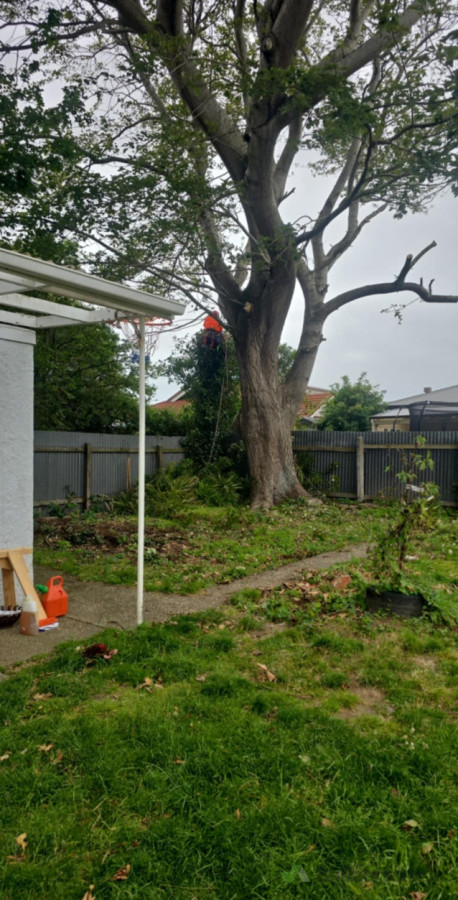 Day 1 - Love me a bit of cloud cover!