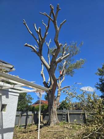 Day 2 - Making logs in the.. hot sun!