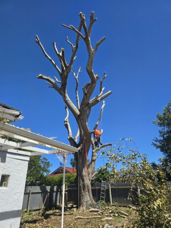 Last bit of 'green' down..