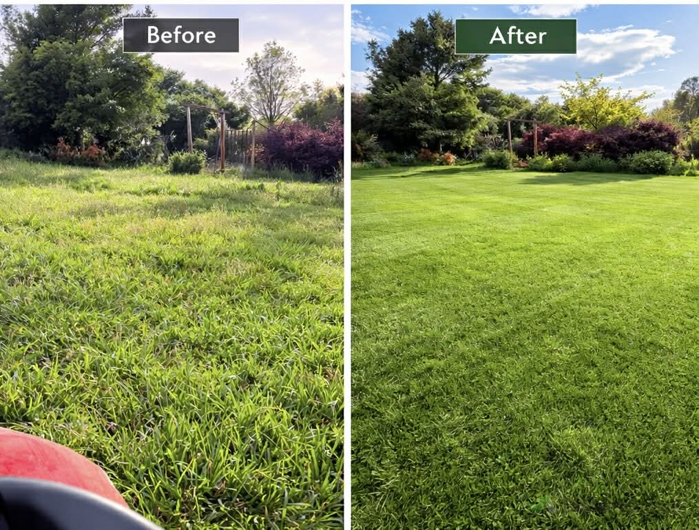 Big lawns done right with the ride-on mower