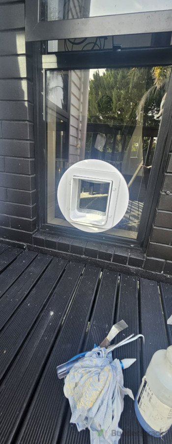 Double Glazed Cat door installation