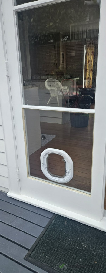 Single Glazed Cat Door