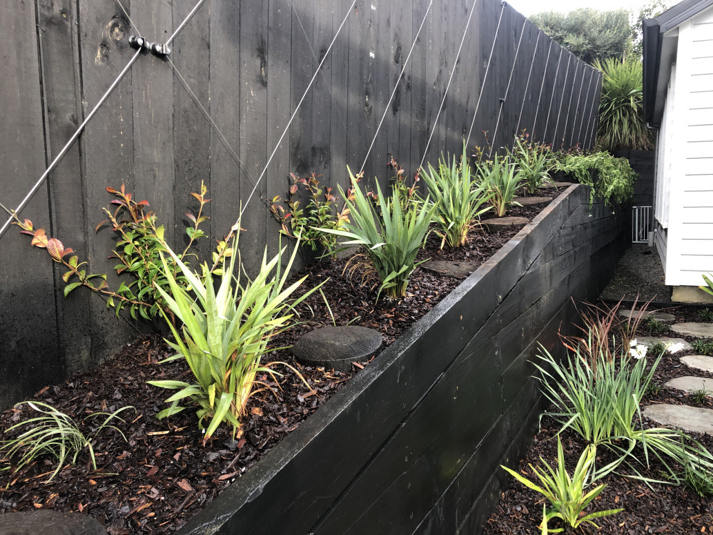 Espalier Trellis Wire and planting plan