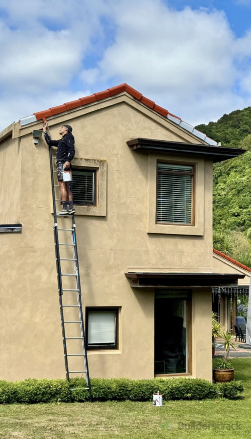 Roof Repaint