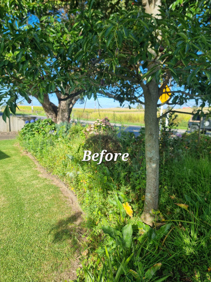 General Gardening makeover