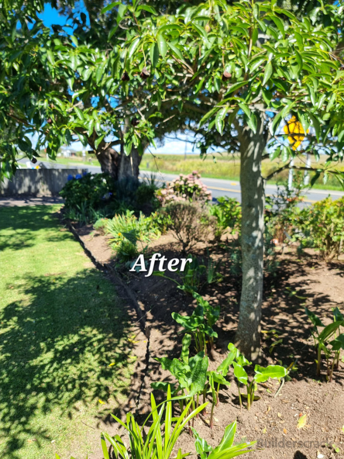 General Gardening makeover