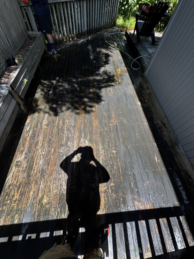 Deck Clean *Before*
