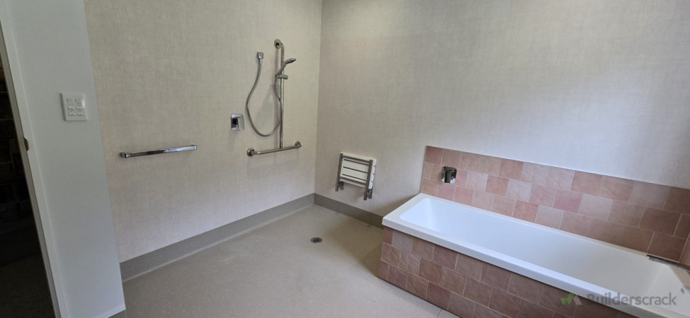 Screenless level entry shower