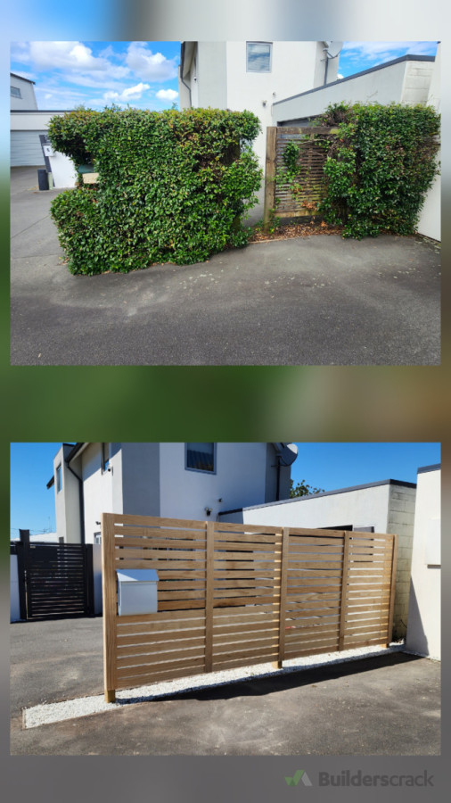 Removal and replacement of hard to deal with vine and driveway divider