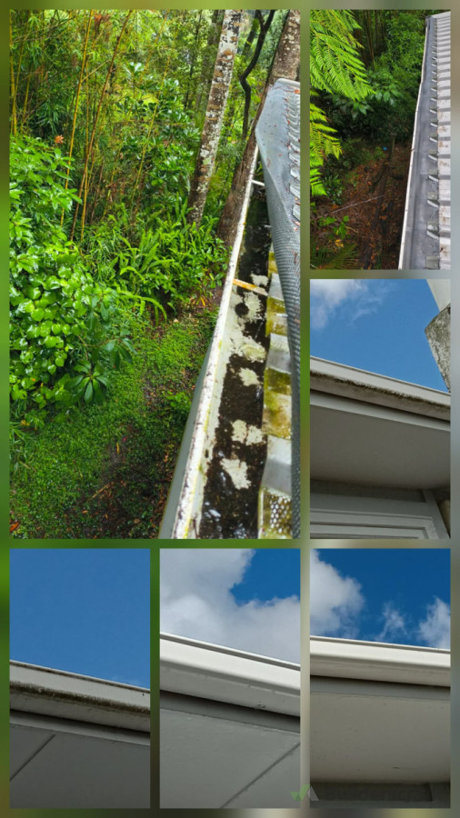 Various Gutter Cleans