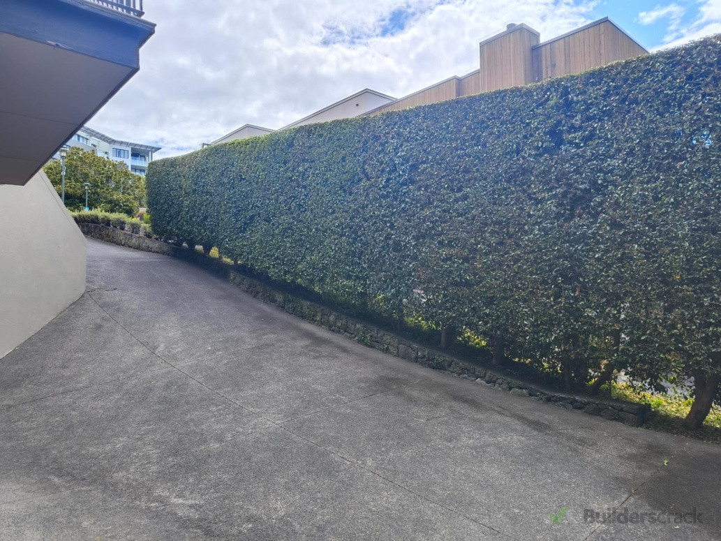 Hedge trimming and driveway garden maintenance.