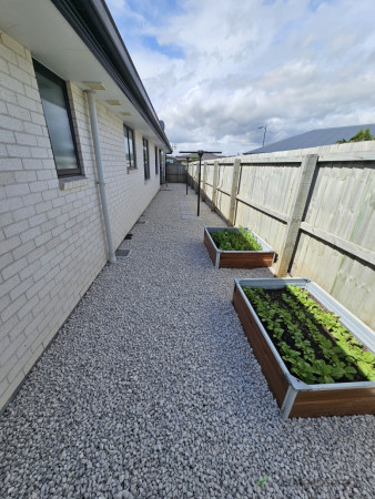 Supply of fresh salad for the Family
