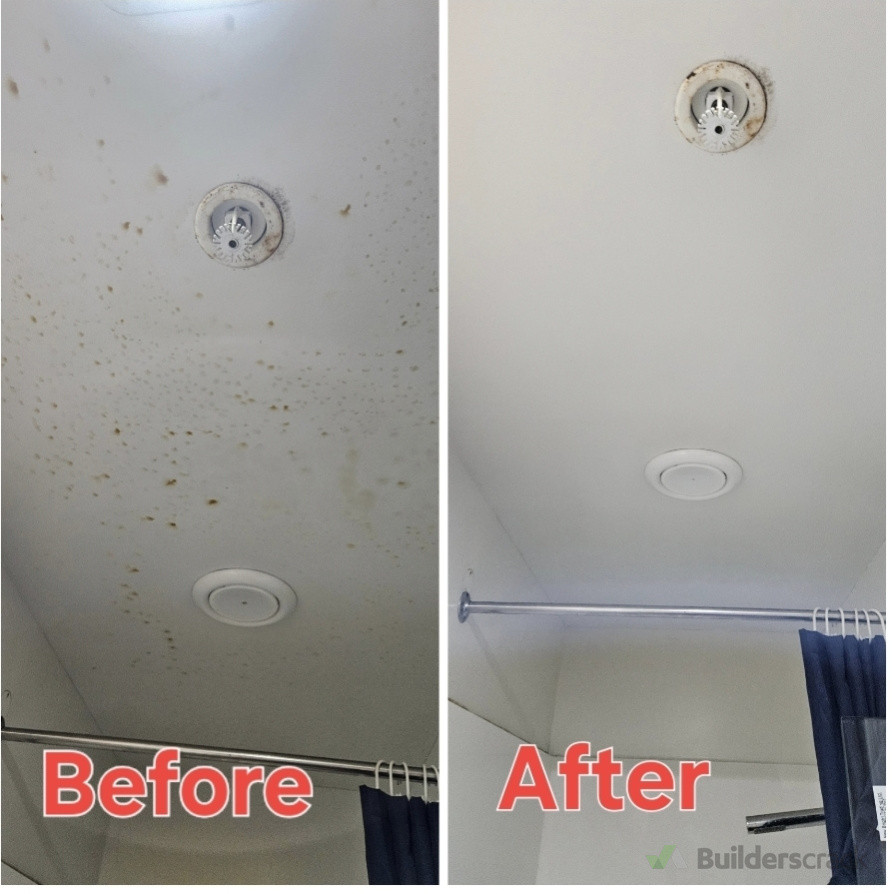 Dirty and mould bathroom celling cleaned professionally