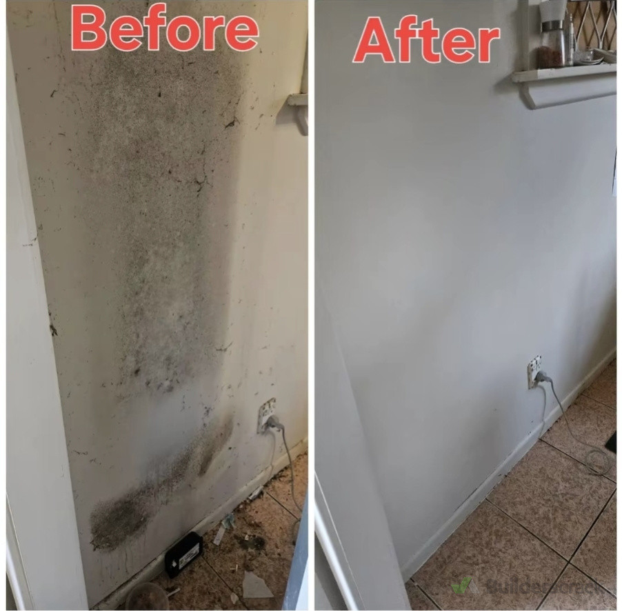 Dirty and mouldy wall cleaned and did mould treatment