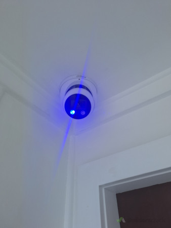 Blue flashing light with siren sound