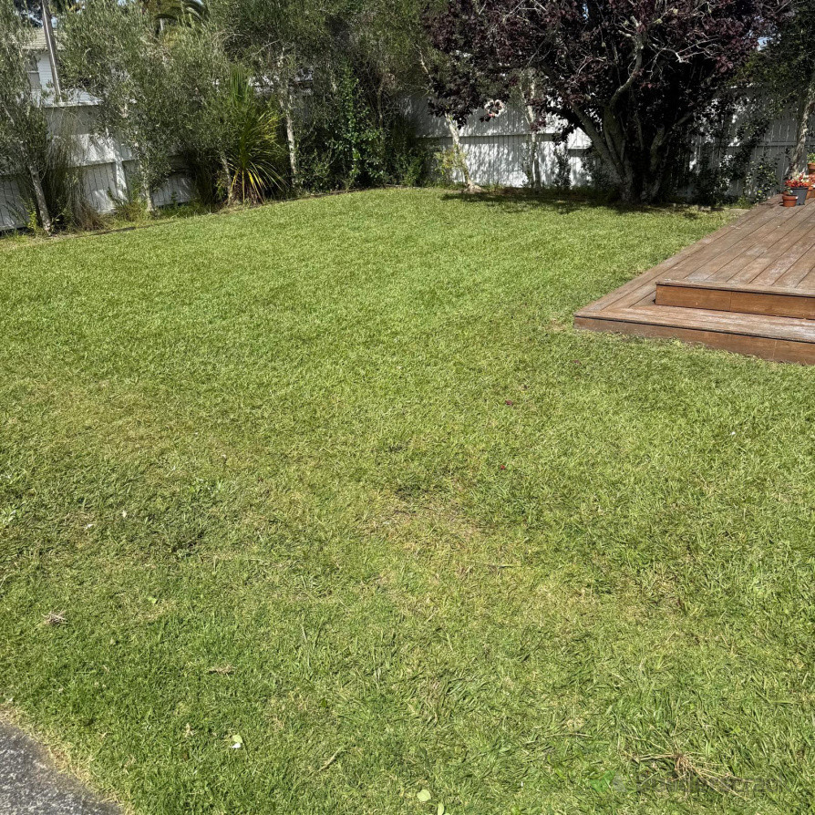 Fresh lawn mowing and garden maintenance with clean finish.