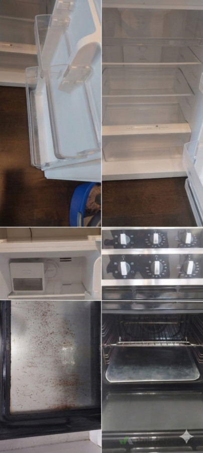 Fridge and oven cleaning