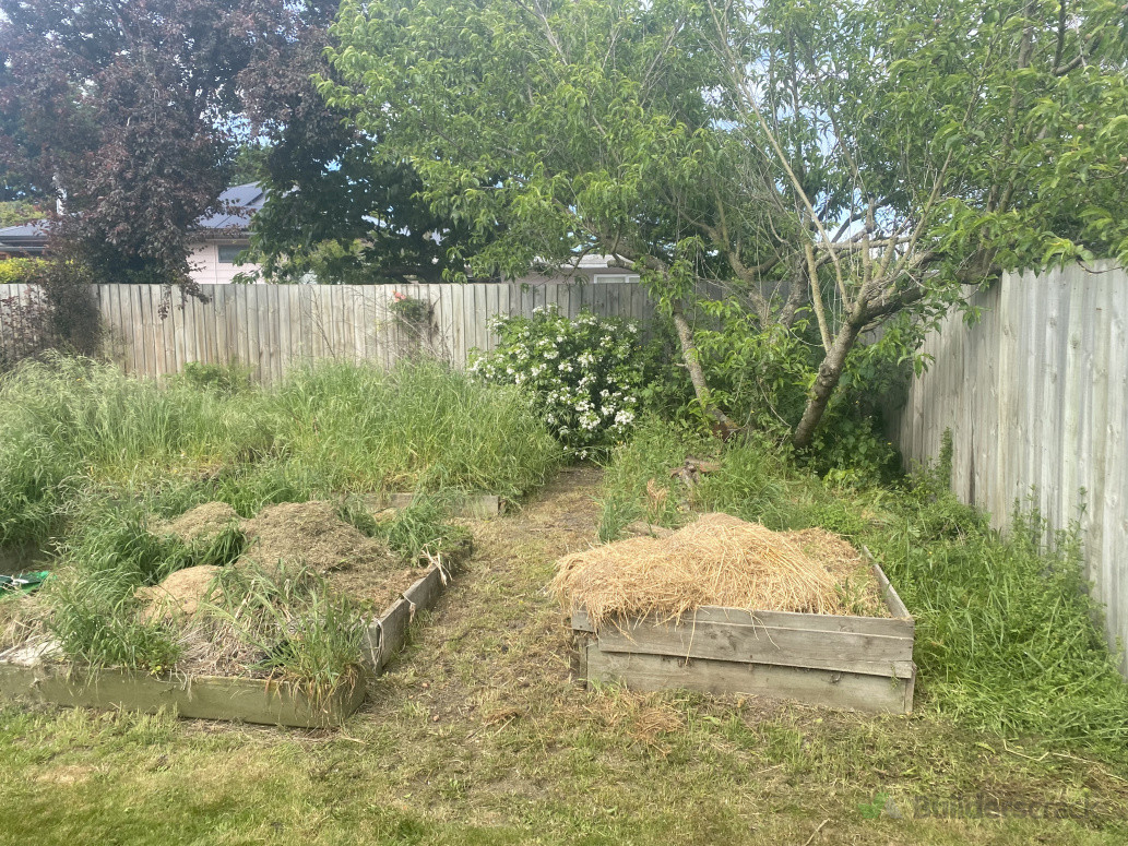 Raised Beds Before