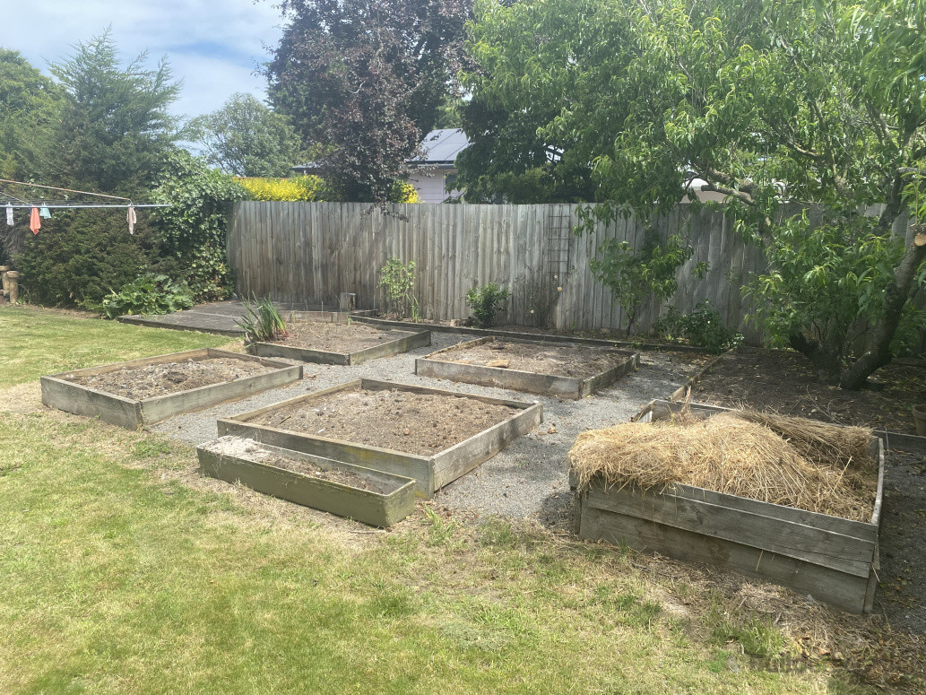 Raised Beds After