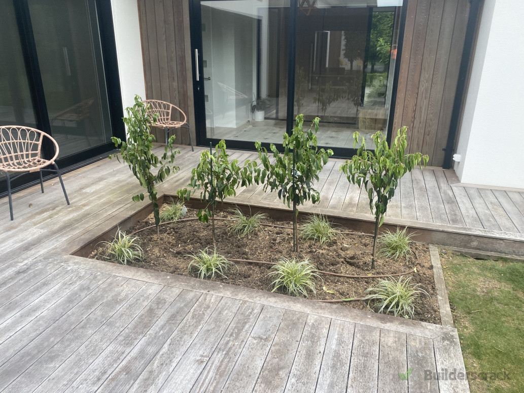 Deck Bed After