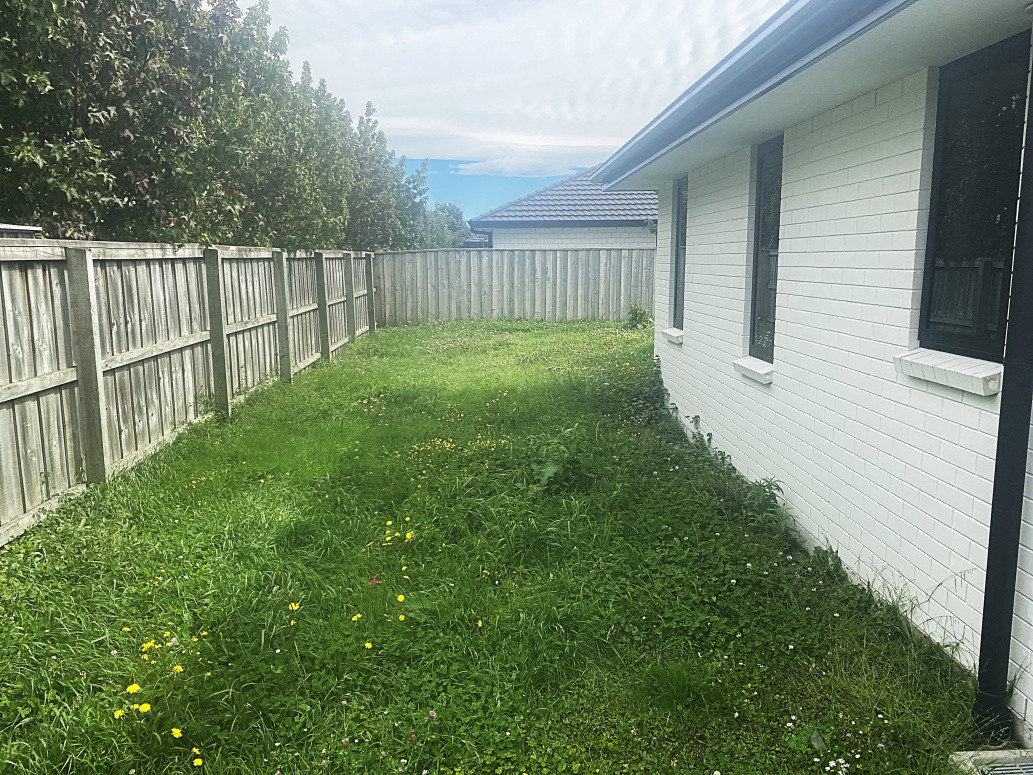 Lawn Tidy Up Before