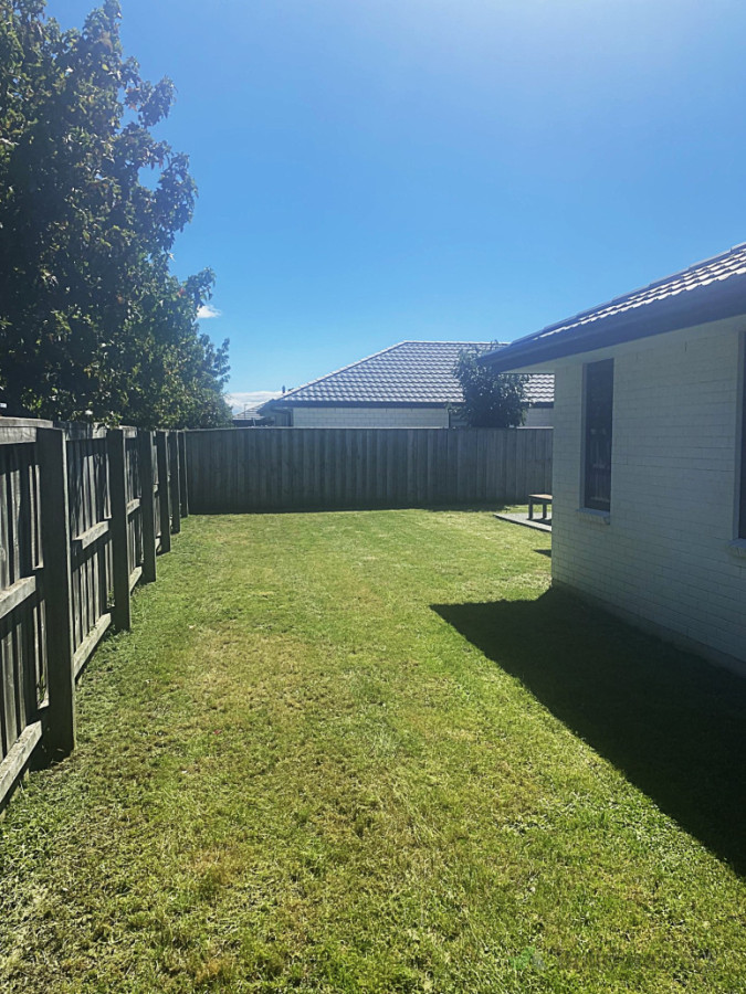 Lawn Tidy Up After