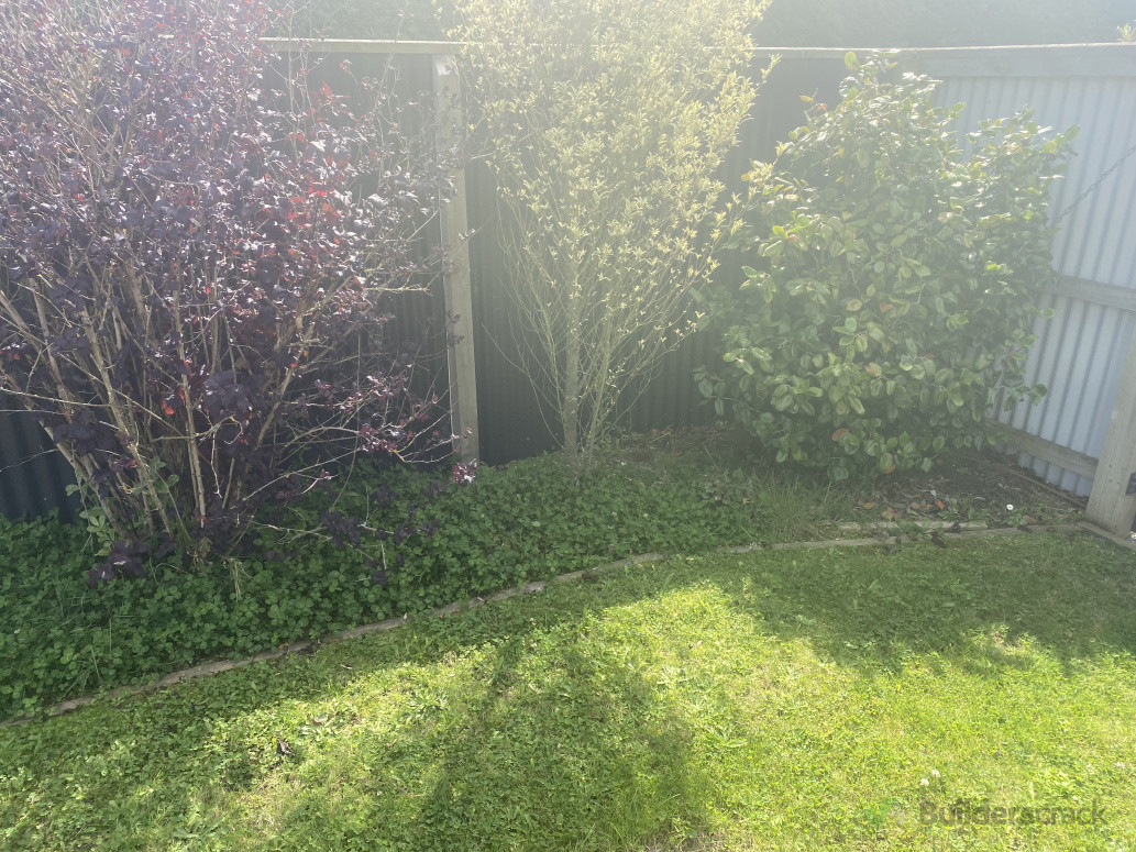 Hand Weeding Before