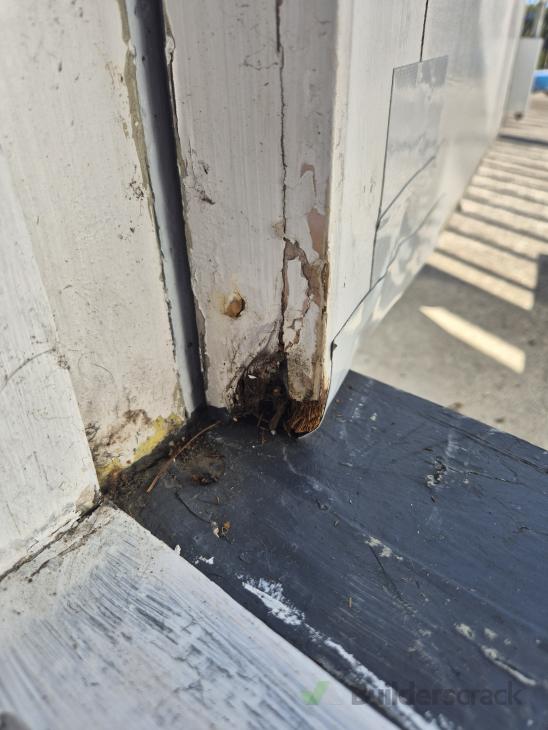 Door repair, exterior rotted wood (#1241822) | Builderscrack