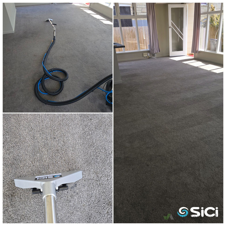 Carpet Cleaning Services