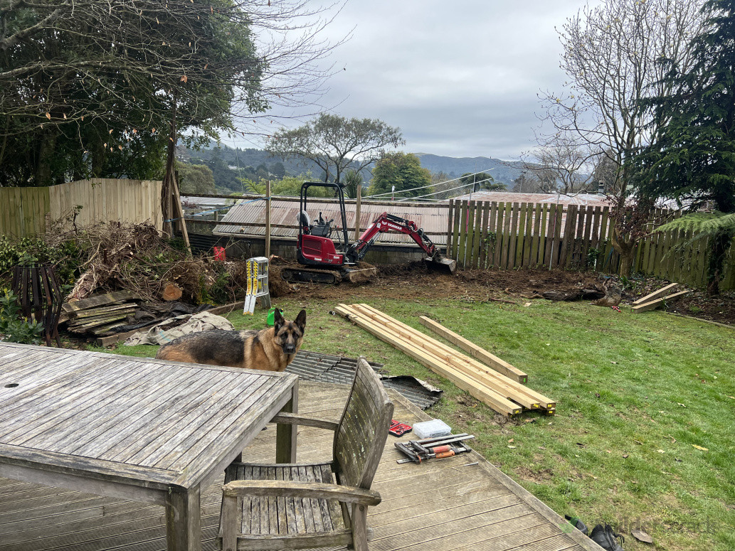 removal of trees and fence