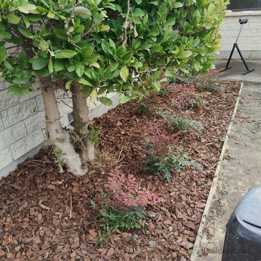 Clients Garden with Wood Chip Added.