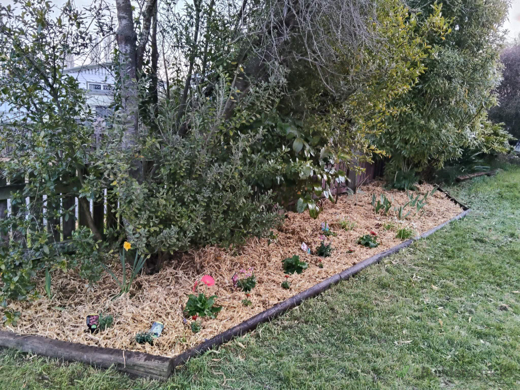 Clients Garden weeded and weedmatted with Hay for Weed Protection