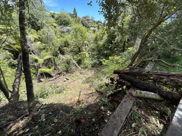 Removal of Vegetation & Debris