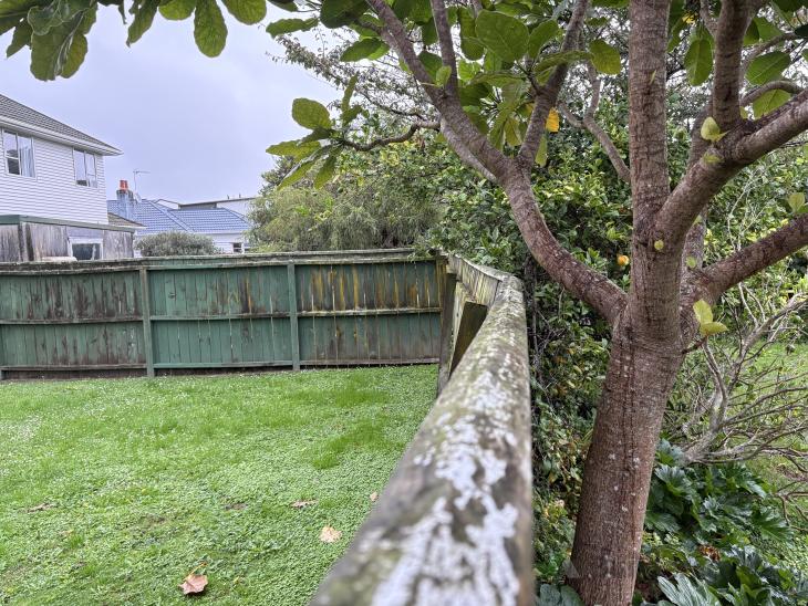 Fence replacement (#1243867) | Builderscrack