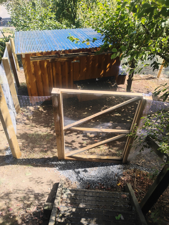 Chicken Coop & Run