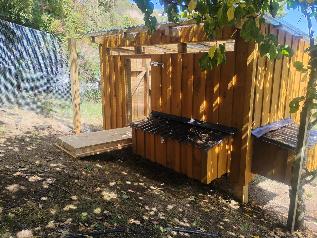 Chicken Coop & Run