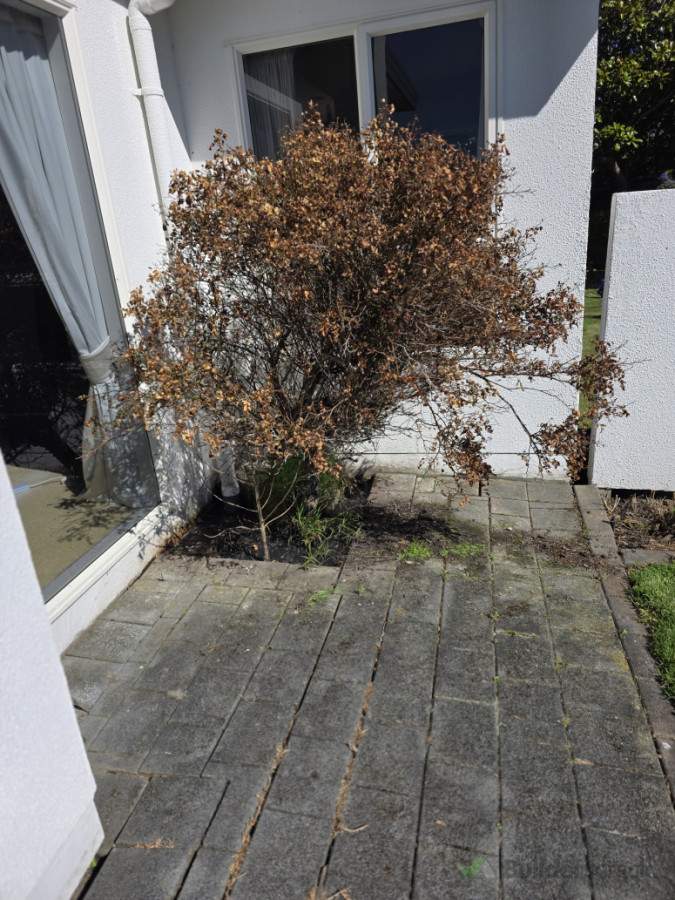 Before