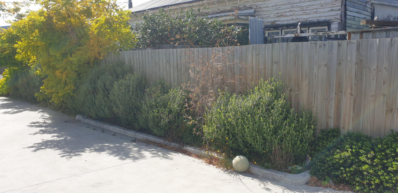 Before, End Of Driveway