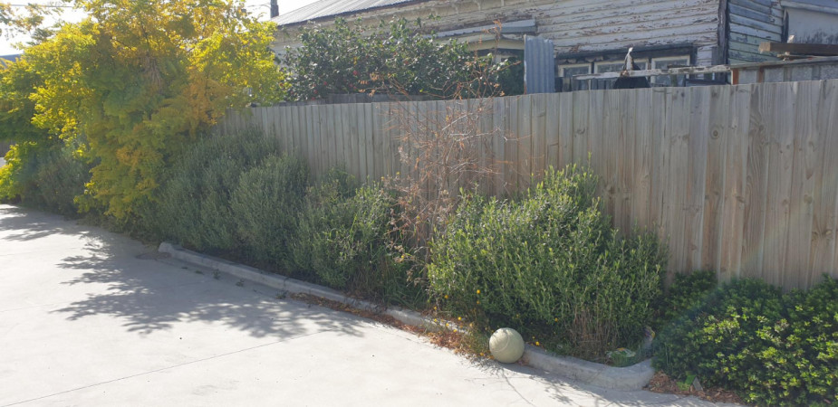 Before, End Of Driveway