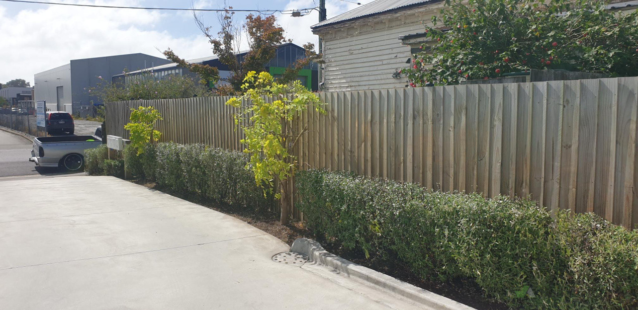 After, Middle Facing Down Driveway