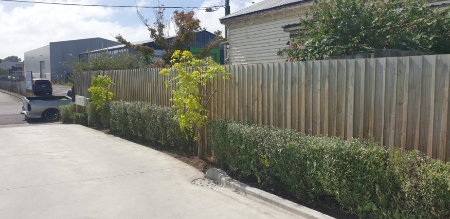 After, Middle Facing Down Driveway