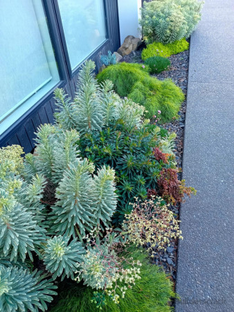 Exposed Aggregate Driveway with landscaping